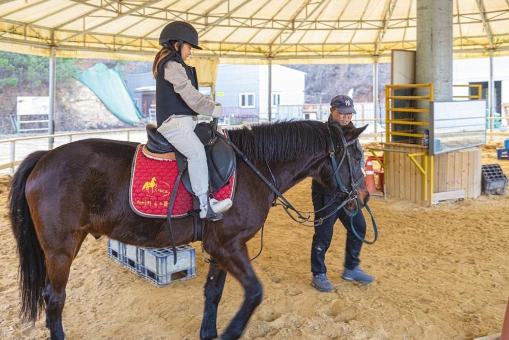 Taean Anmyeondo Badabi Pension, Kwik-kol