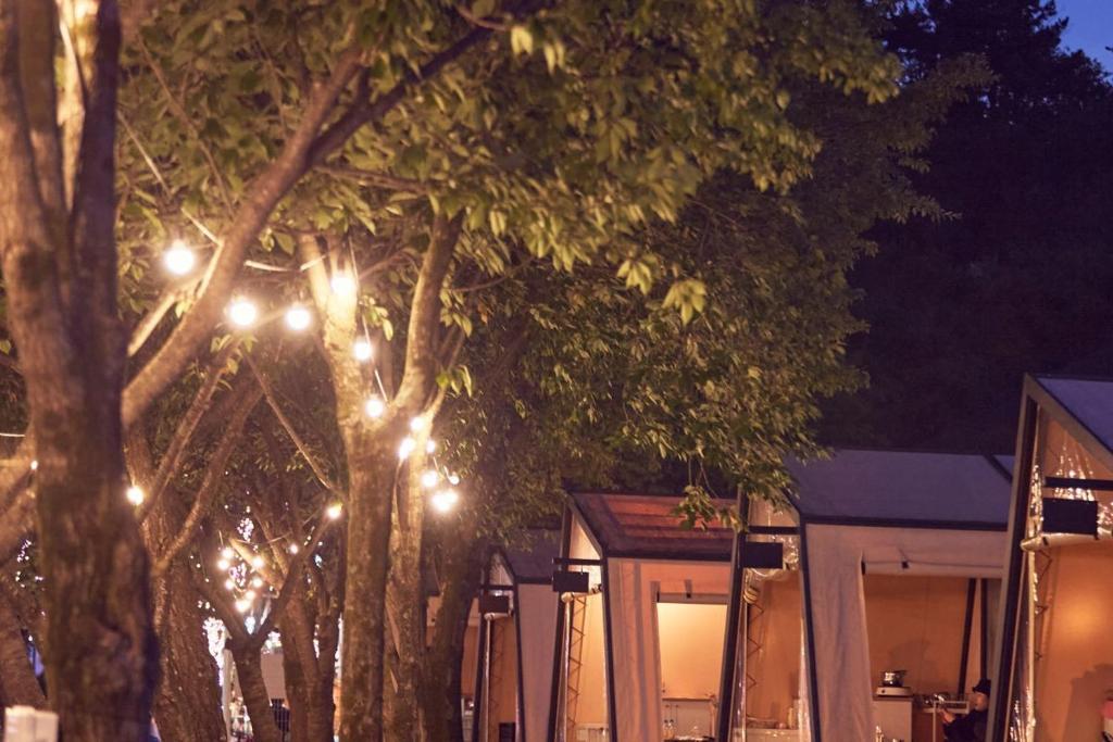 청도 프로방스 글램핑