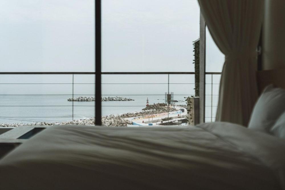 반려견 동반 객실 내부