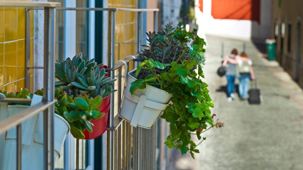 Duque´s Apartments — Hotel in Lisbon