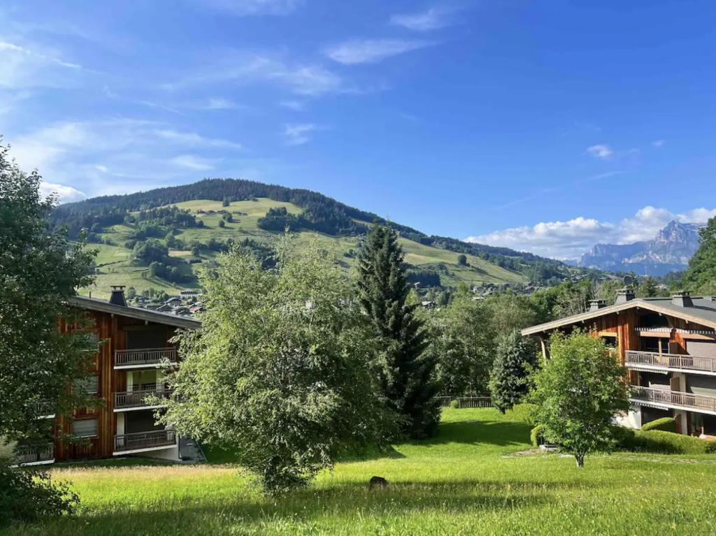 Magnifique appartement au coeur de Megève - 3