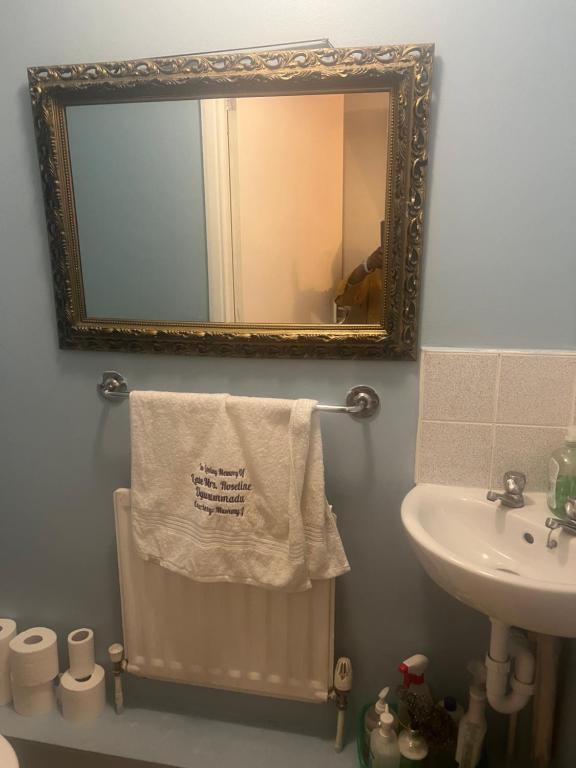 Double Alpha, Forest Hill