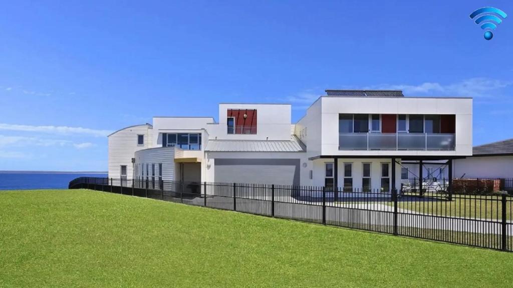 Albatross, Culburra Beach