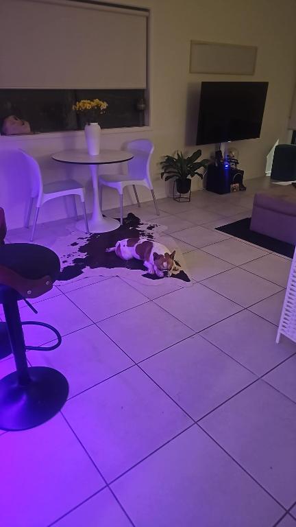 SFE Twin Room in Shared Home, Marshalltown