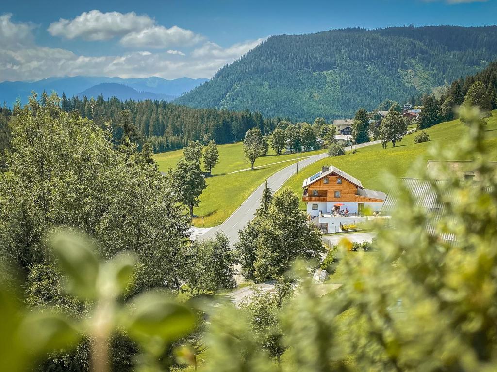 Ferienhaus Dachsteinheim - 1