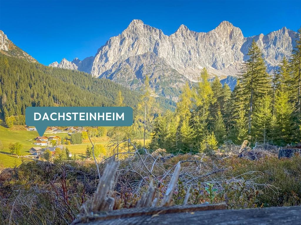 Ferienhaus Dachsteinheim - 2