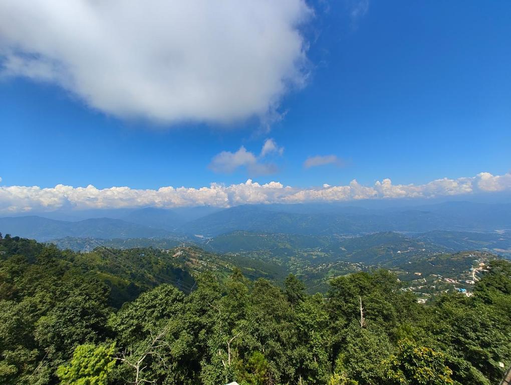 Surrounding environment