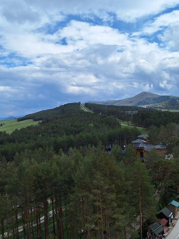 Apartman Cvetković, Vila Elsa III - 3