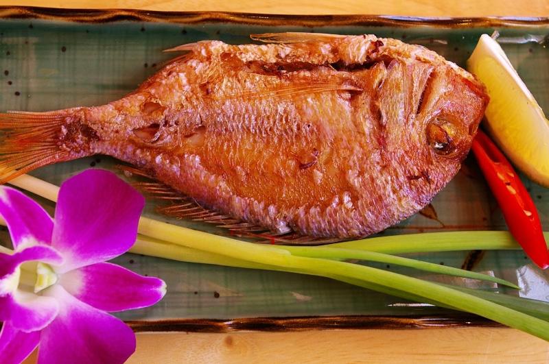 お料理のイメージ