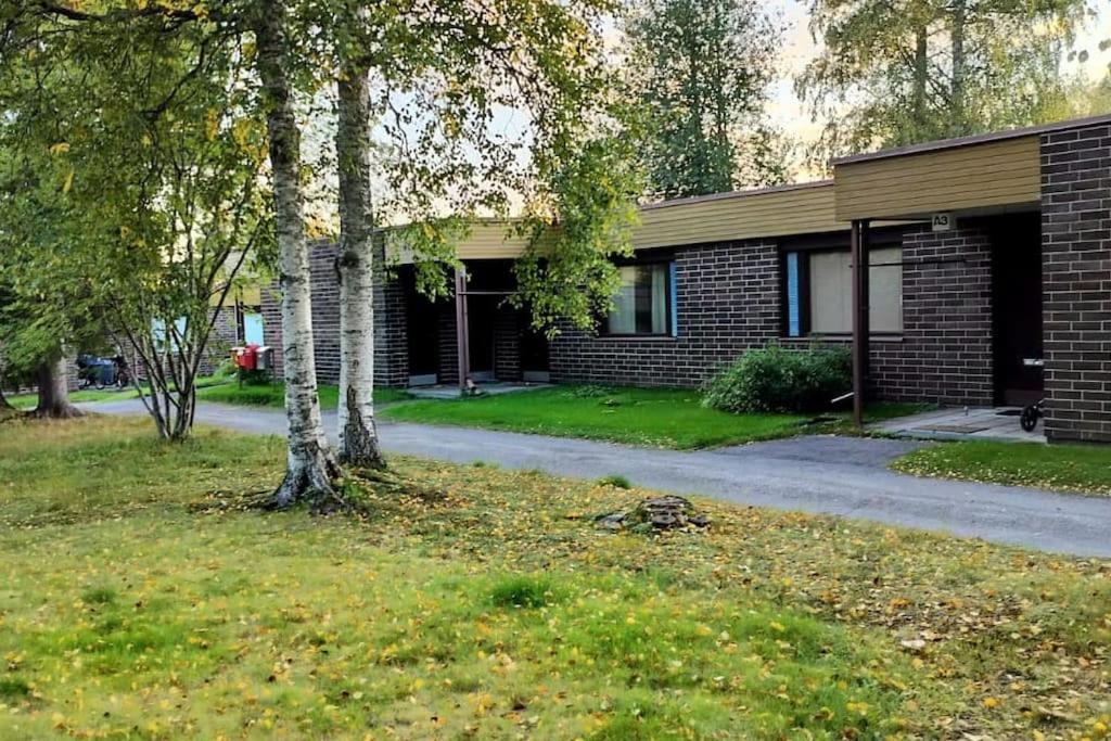 Marten's Nest, Rovaniemi