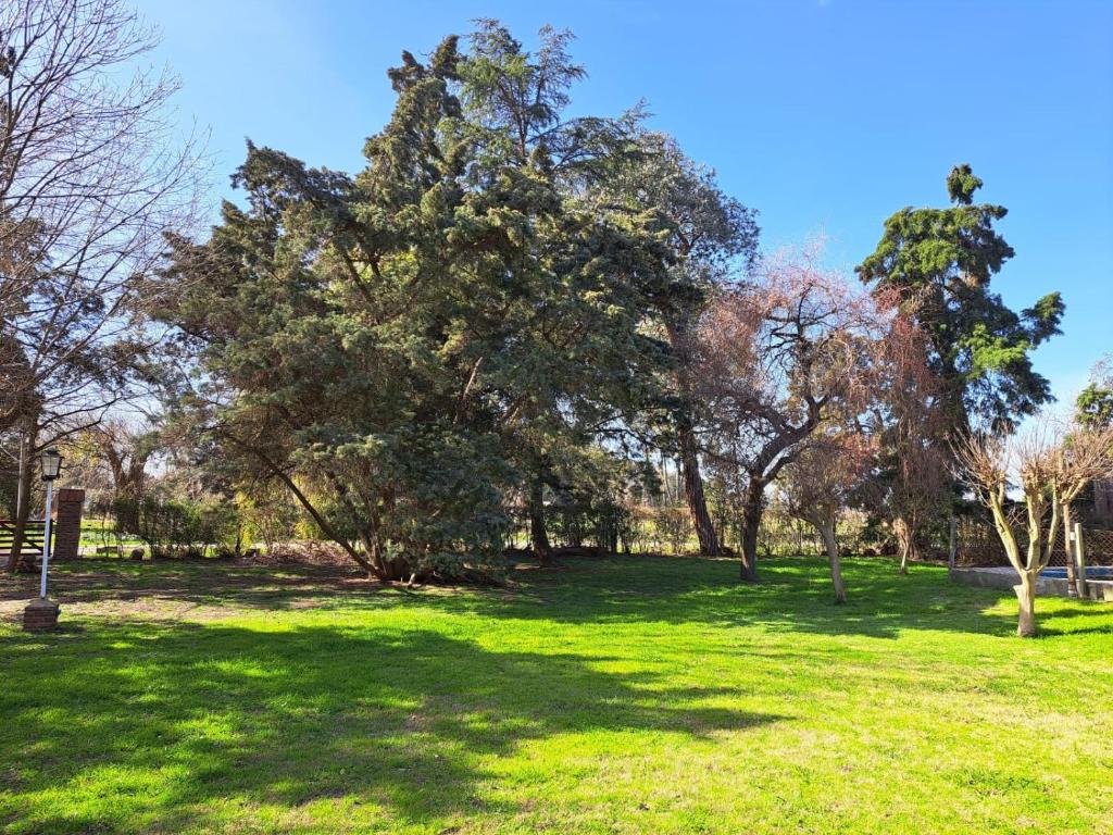 Quinta Pinar de Robles - 4