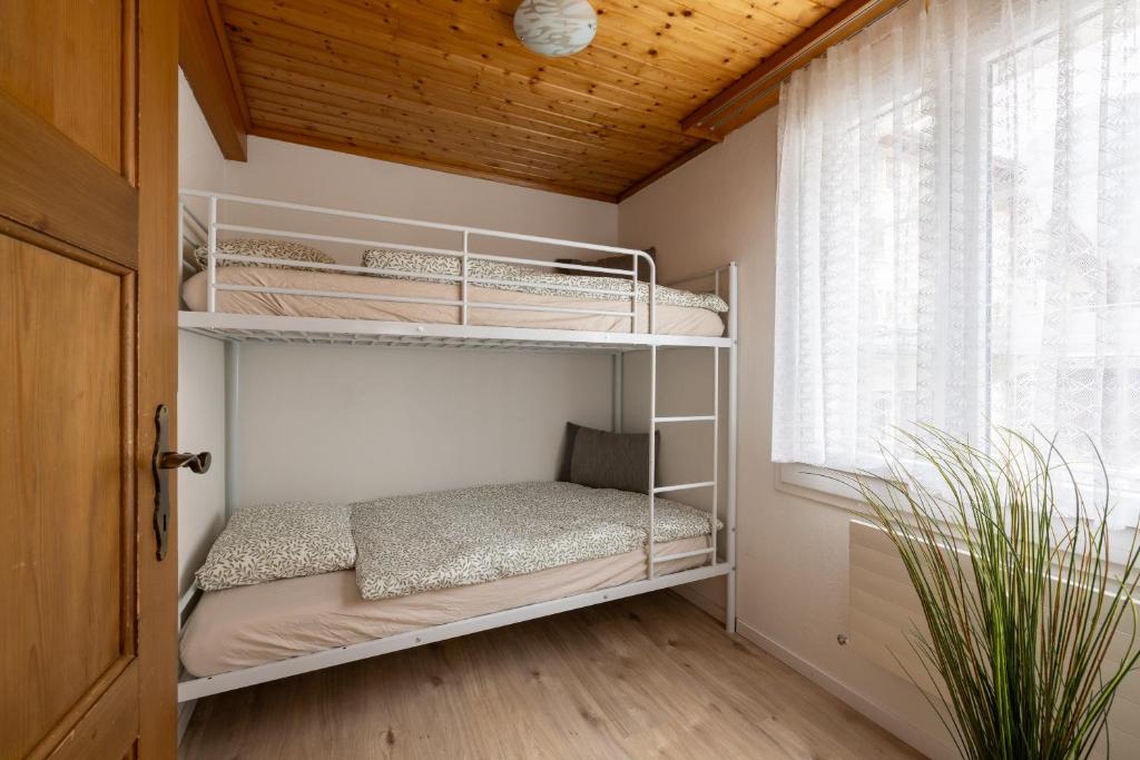3,5 Zimmer Wohnung Eigerblick zentral in Grindelwald - 4
