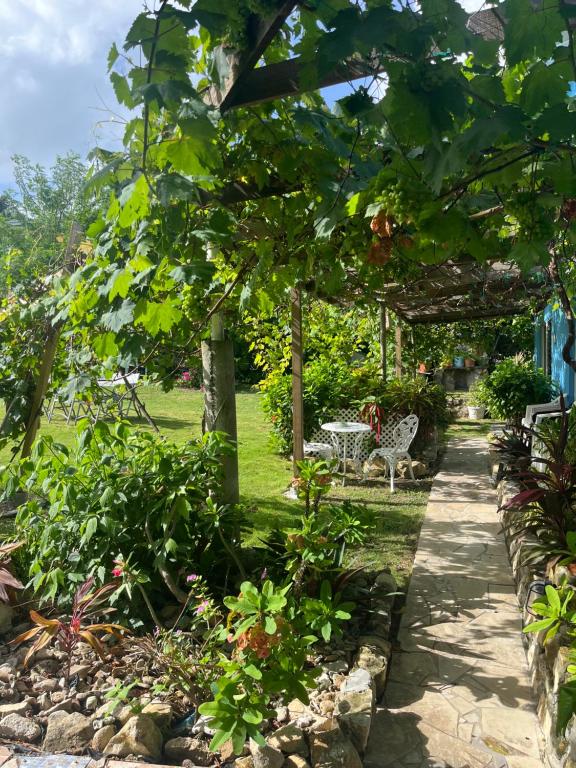 Ellen Bay Cottages 전경