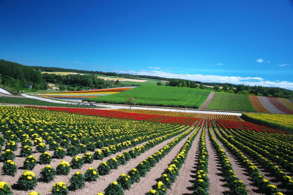 Activités à proximité