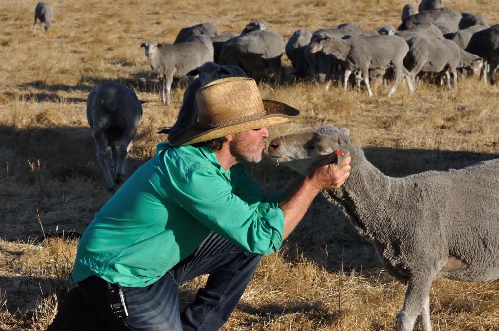 DONN4254S - Wilga Farm Stay - Shearer's Shack Single, Boyup Brook