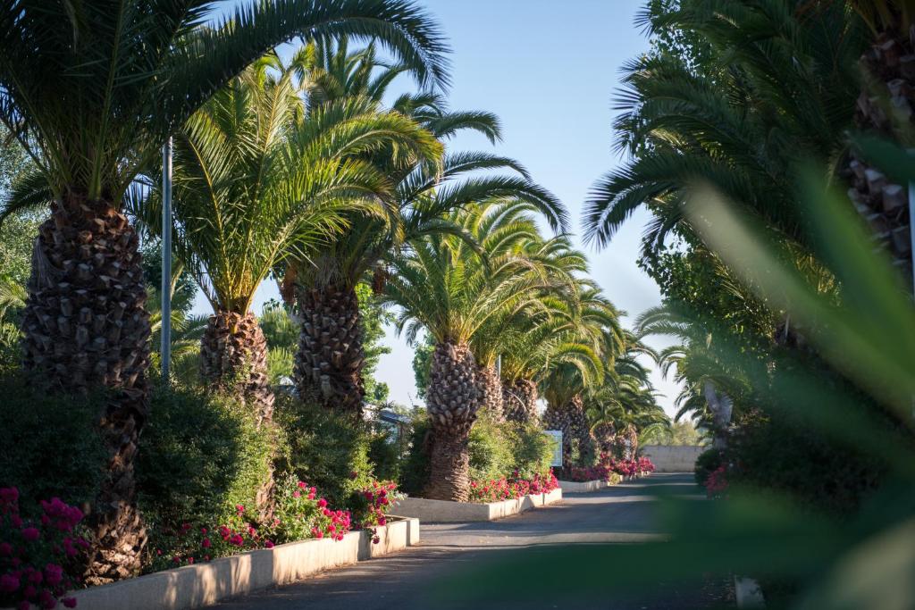 Camping Officiel Siblu La Carabasse - 2