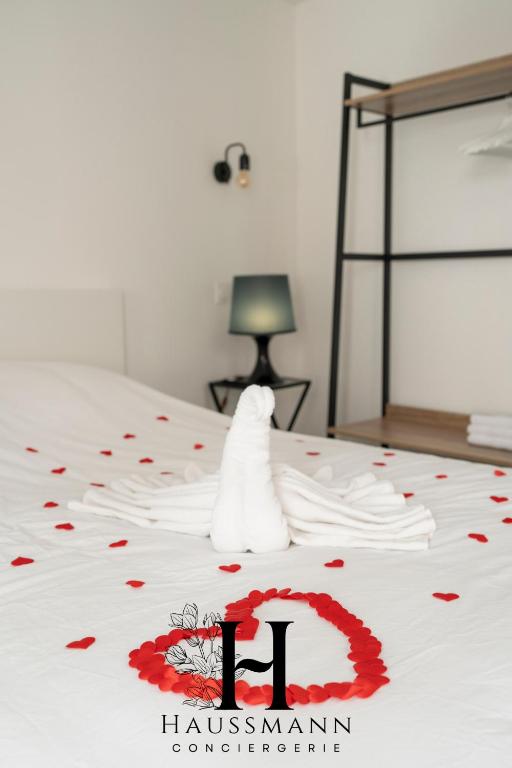 Magnifique Suite Luxe Jacuzzi Centre ville Nancy - 3