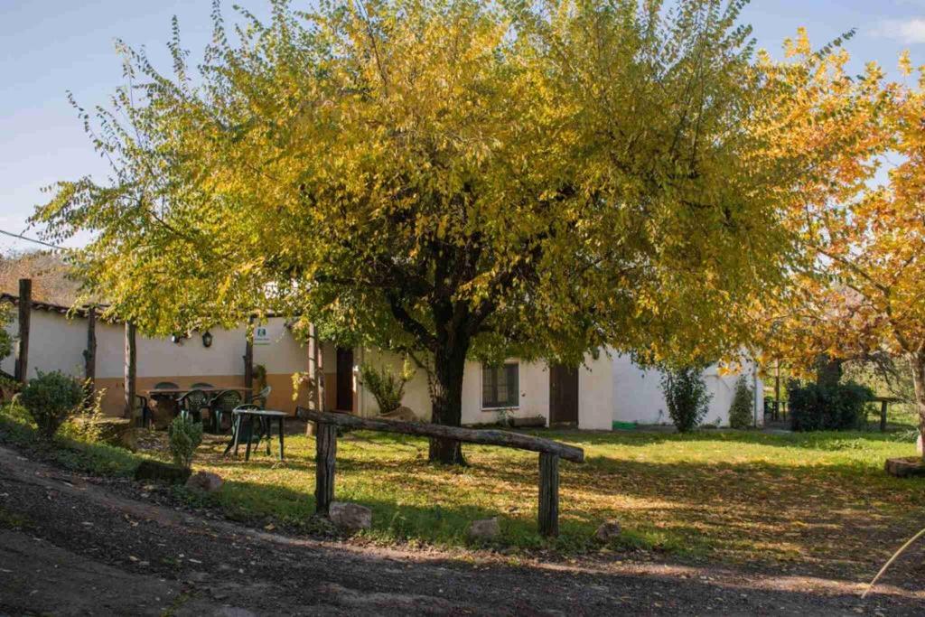 Granados, Fuenteheridos