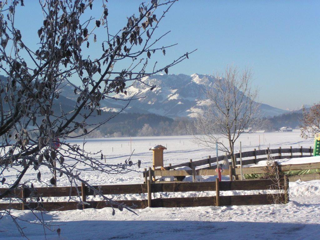 Haus Schmiederer - 5