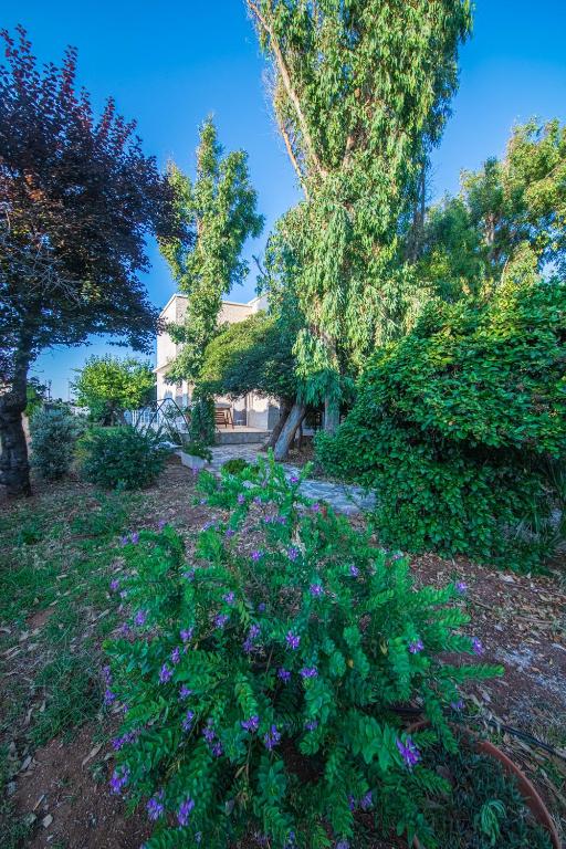 Villa Eucalipti sul mare - 3