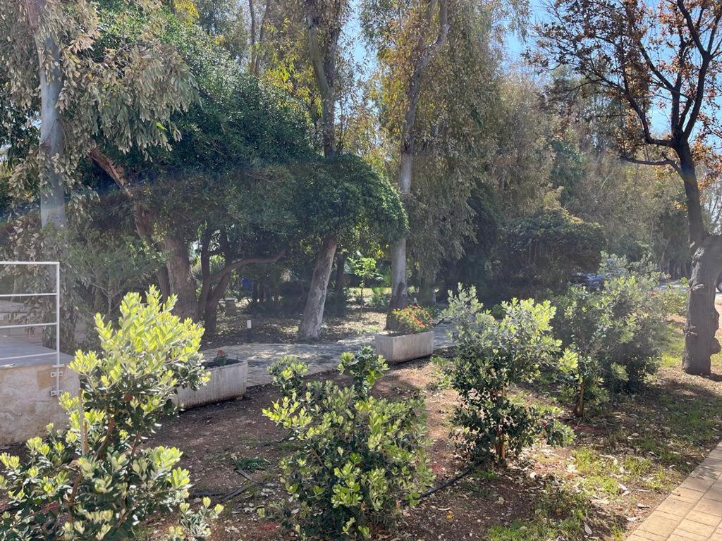 Villa Eucalipti sul mare - 5