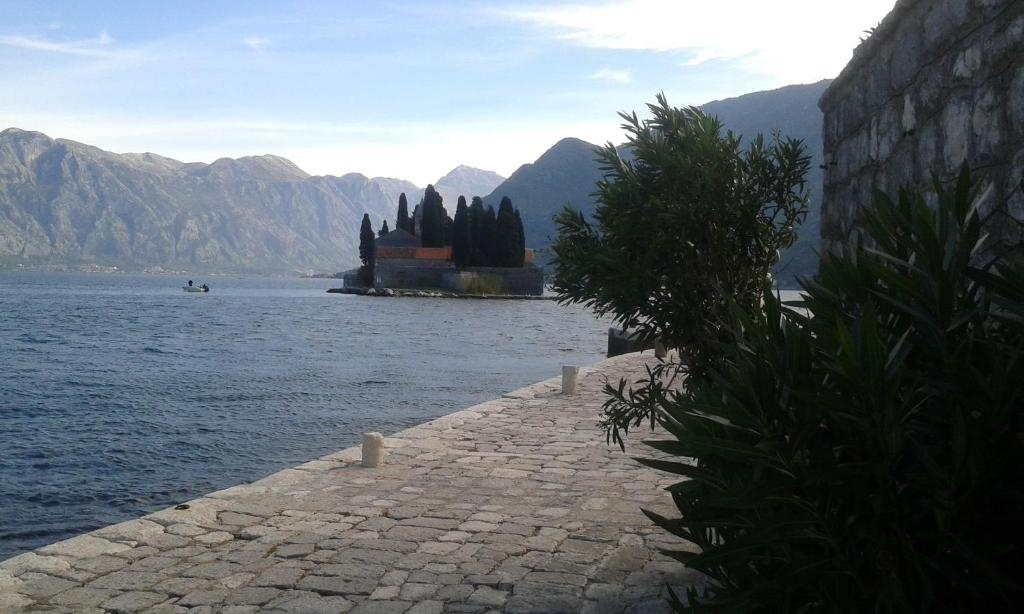 Surrounding environment