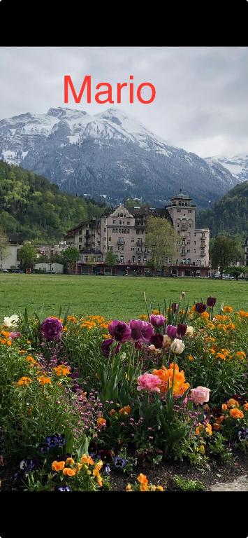 Apartment by Mario, Interlaken