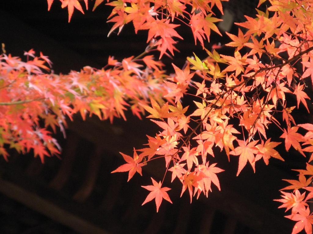 Surrounding environment