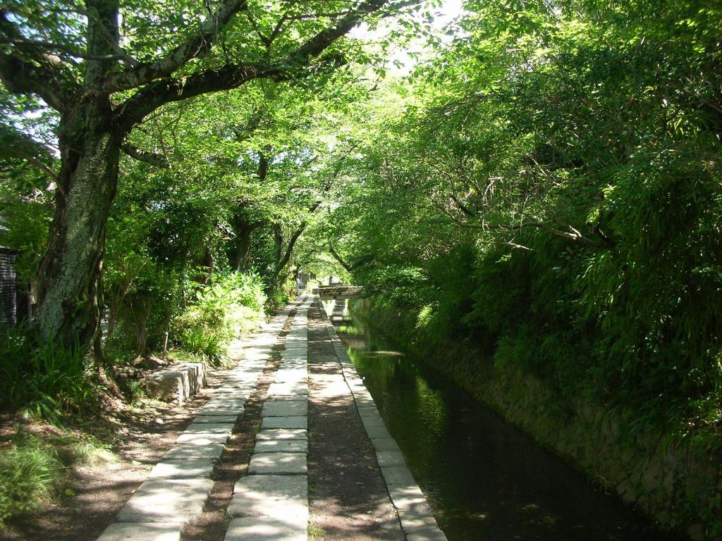 Surrounding environment