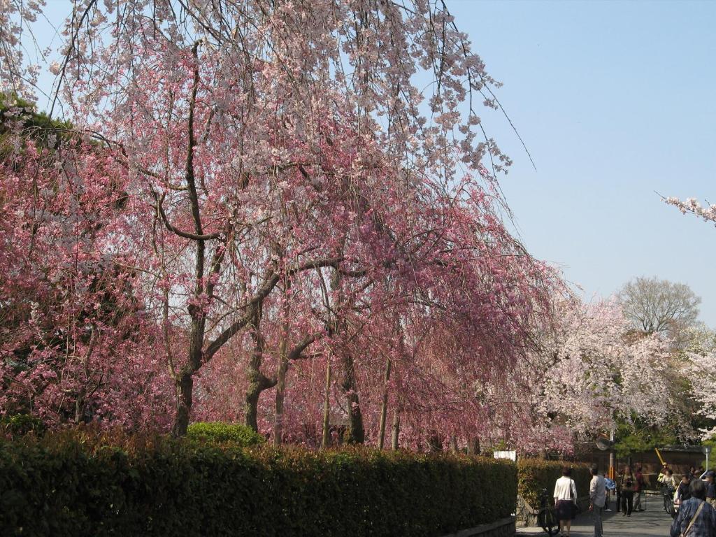 Surrounding environment