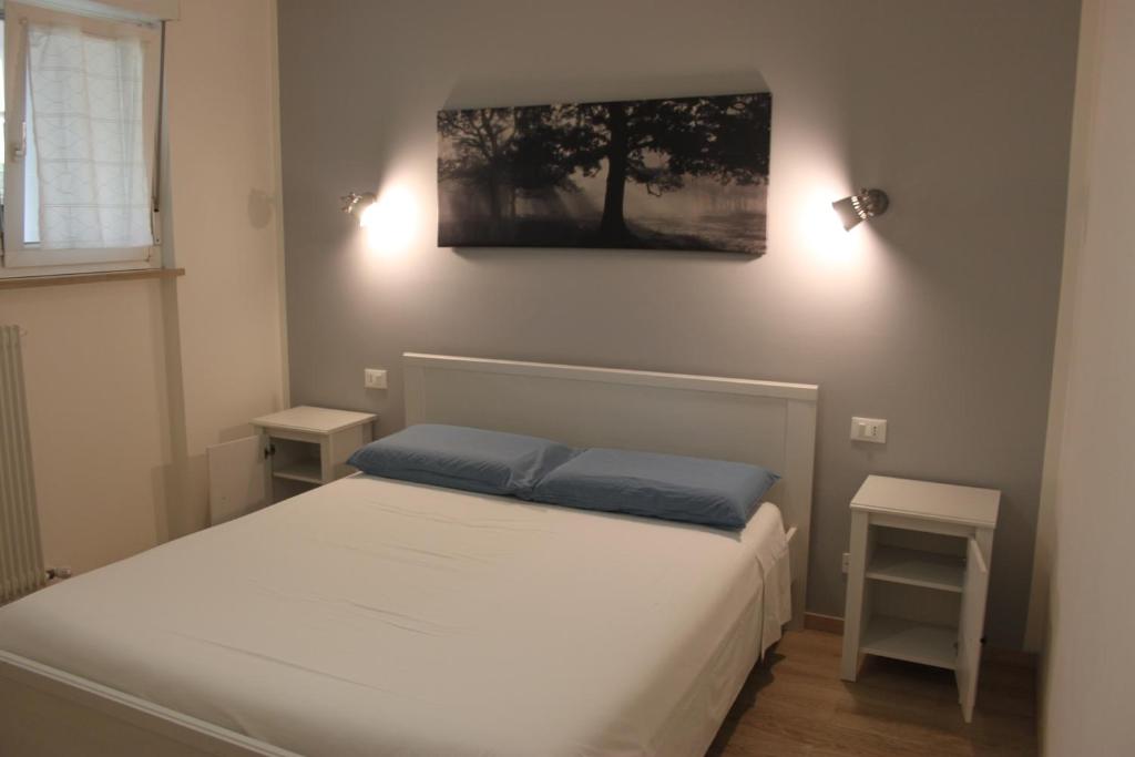 B&B Color Rovereto, Rovereto