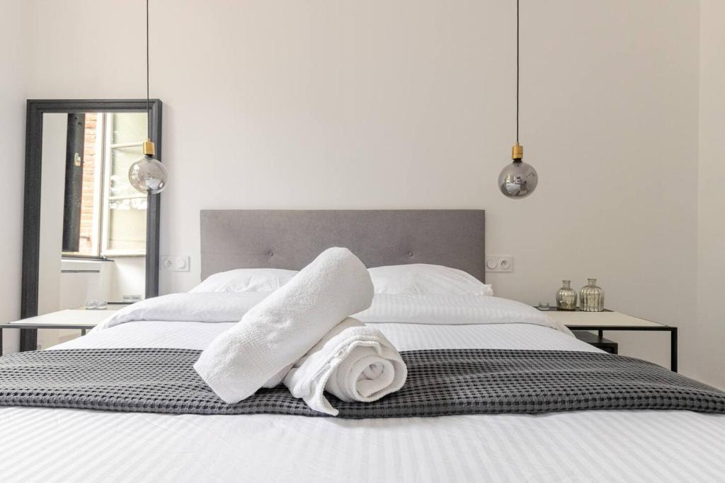 Appartement Albi Parking Gratuit - 2