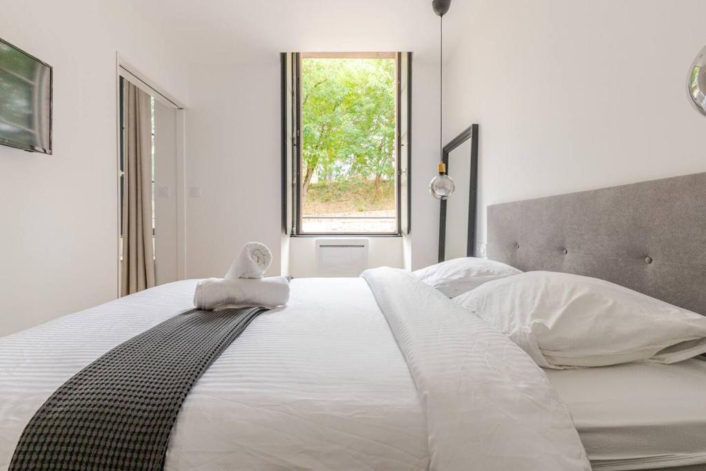 Appartement Albi Parking Gratuit - 1