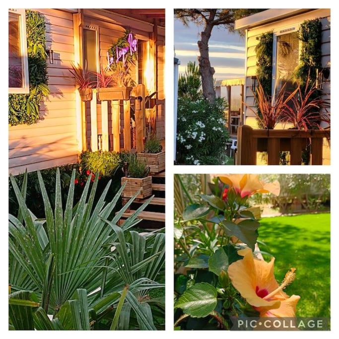 Le Lagon Rose nice bungalow Camping SIBLU le Mar Estang Canet-en-Roussillon, 2 rooms, 2 bathrooms, 2 TV, free WIFI, sheets & towels included, beach at 5 mn walk - 4