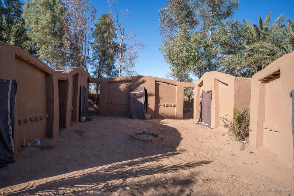 Oasis source de vie, Mhamid