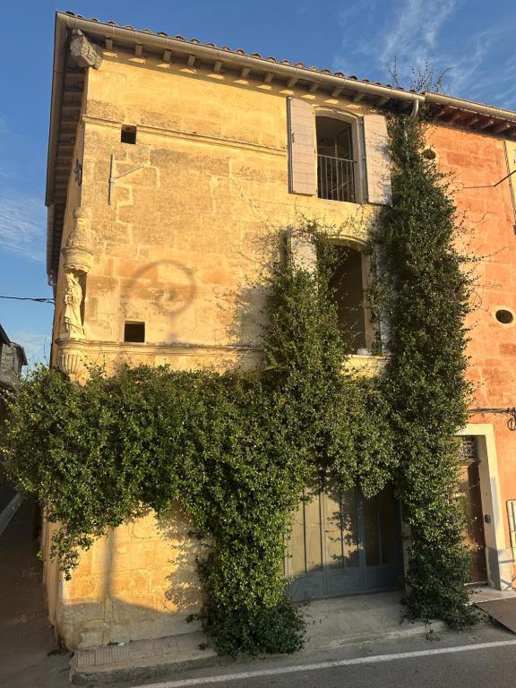 Maison charmante au bord du Rhône. - 2