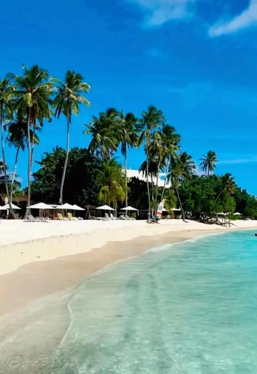 Samura Panorama Guest House, Hotel in Thulusdhoo