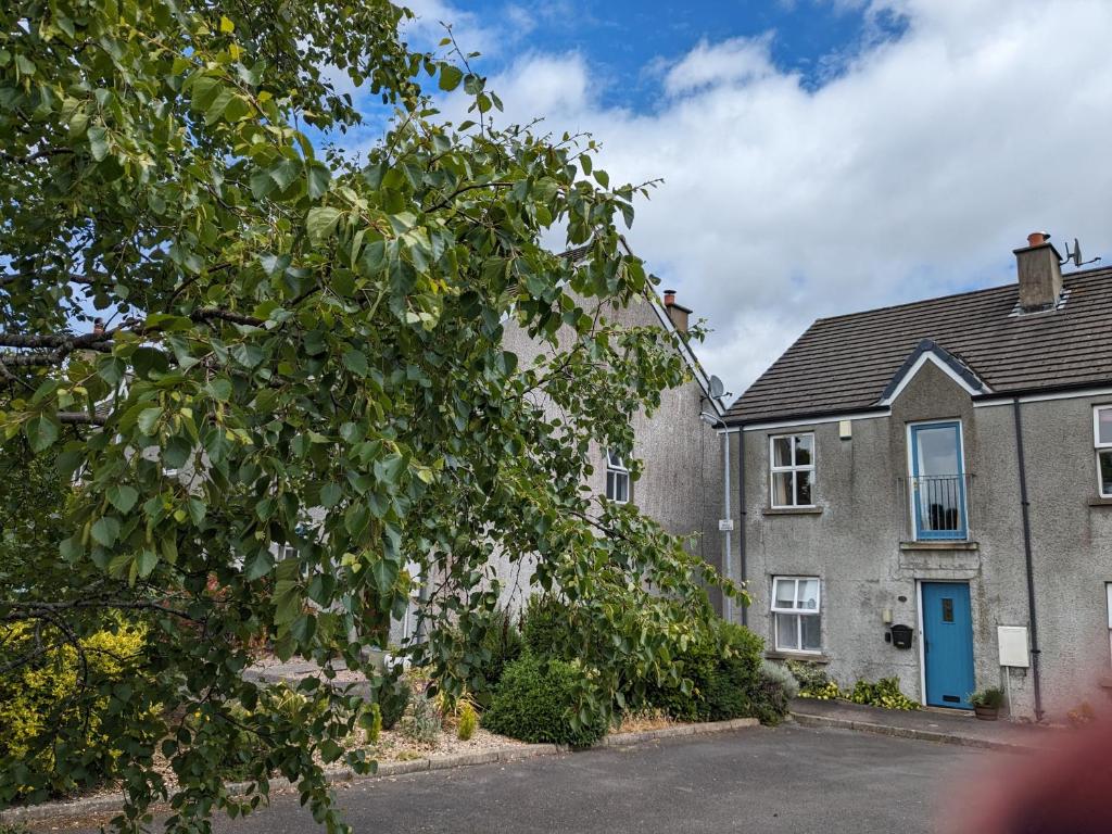 The Jays, Bryansford