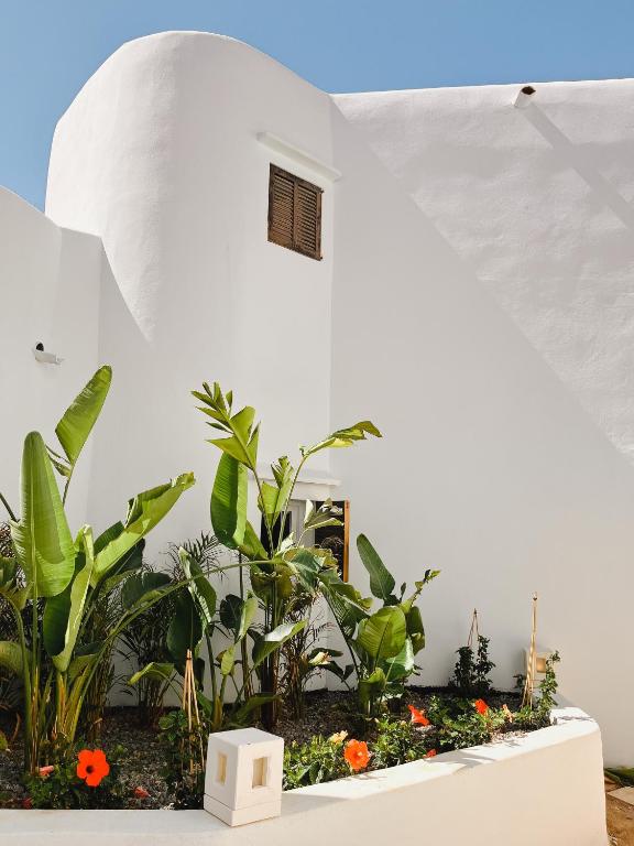 FERGUS Style Punta Arabi — Hotel building in Es Canar, Balearic Islands