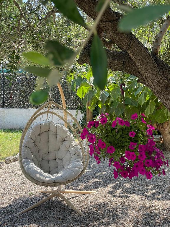 Motel Esterel - 2