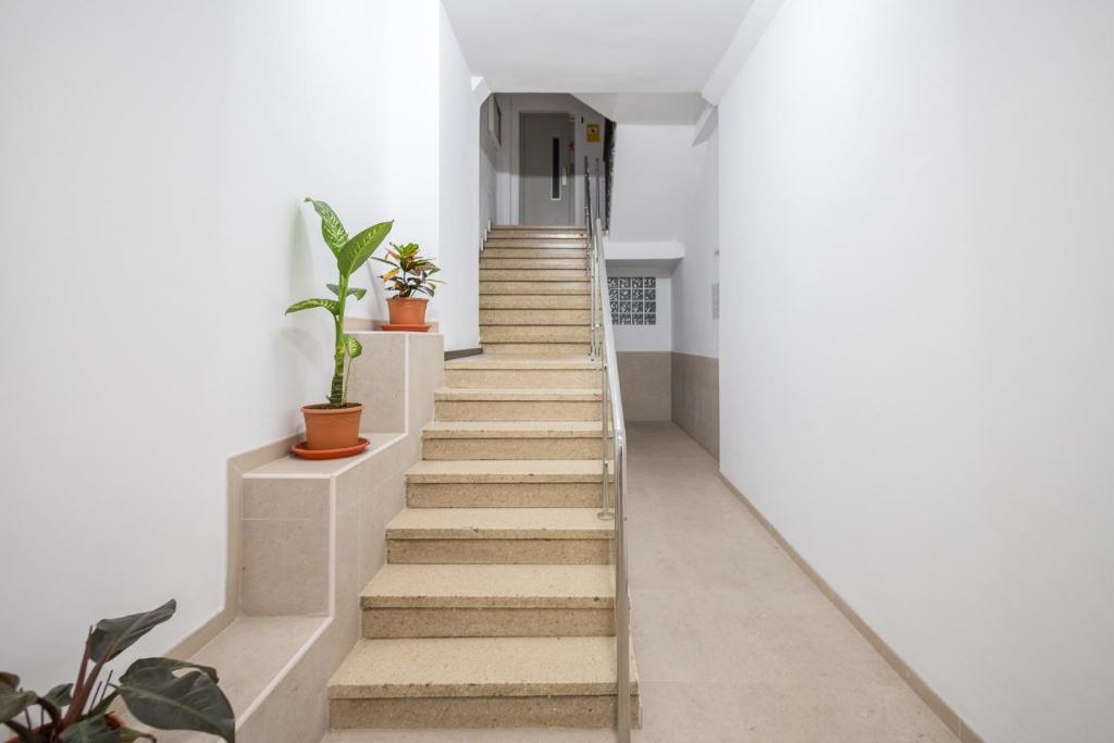 Comfy Renovated Studio next to the Beach - 4