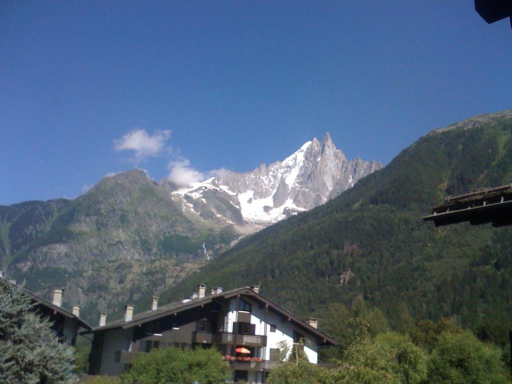 Studio confortable rénové en résidence verdoyante à Chamonix - FR-1-517-69 - 2