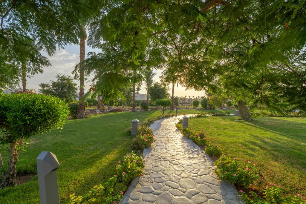 Surrounding environment