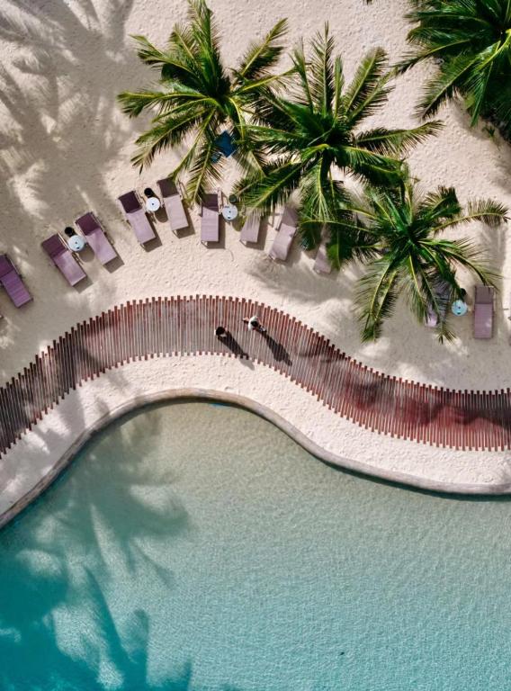 スイミングプール