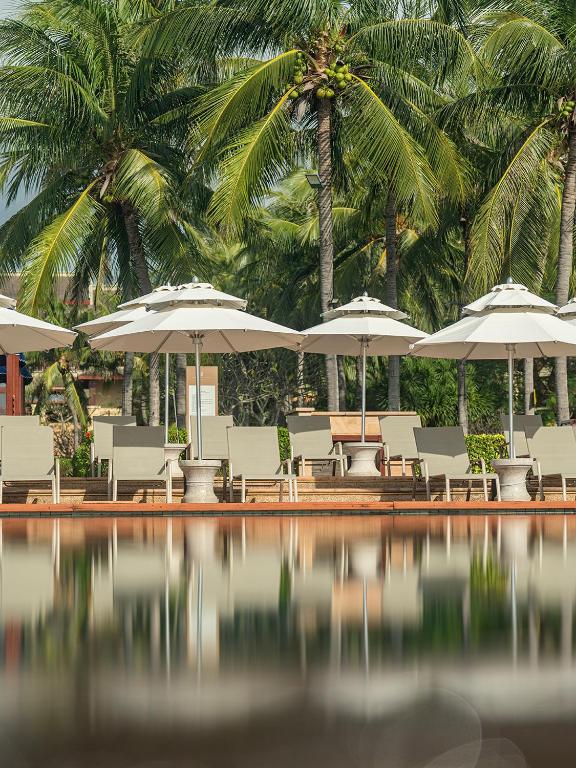 スイミングプール