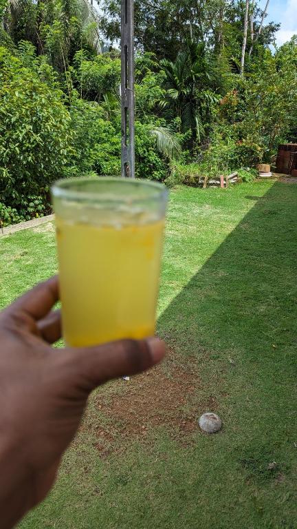 Madu's Mountain View Home, Badureliya