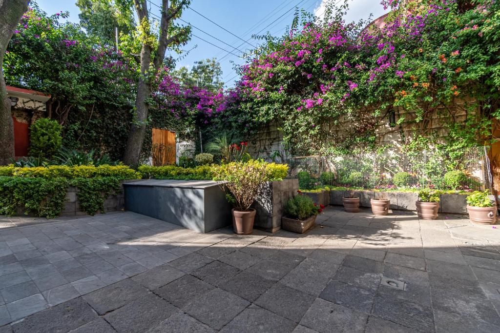 Terraza & Loft San Ángel, Mexiko