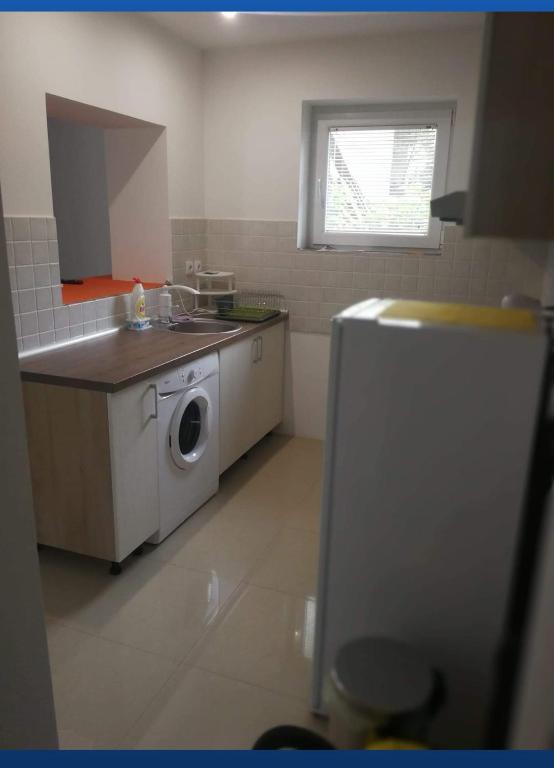 Apartman Sokobanja - 4