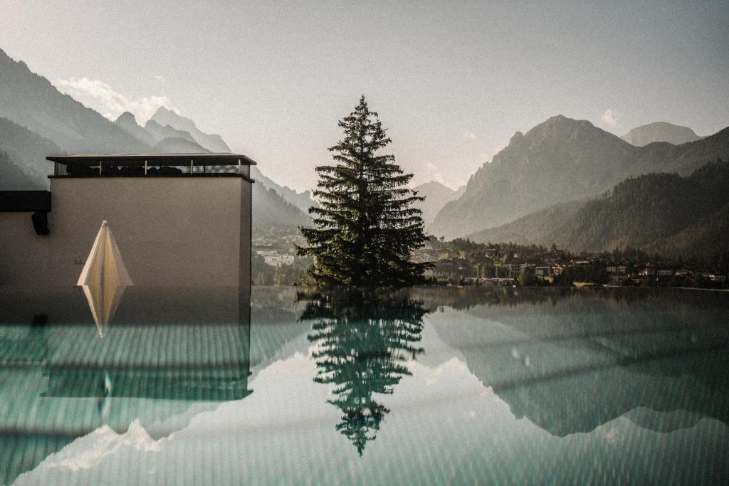 Al Plan, A mountain moving hotel - 4