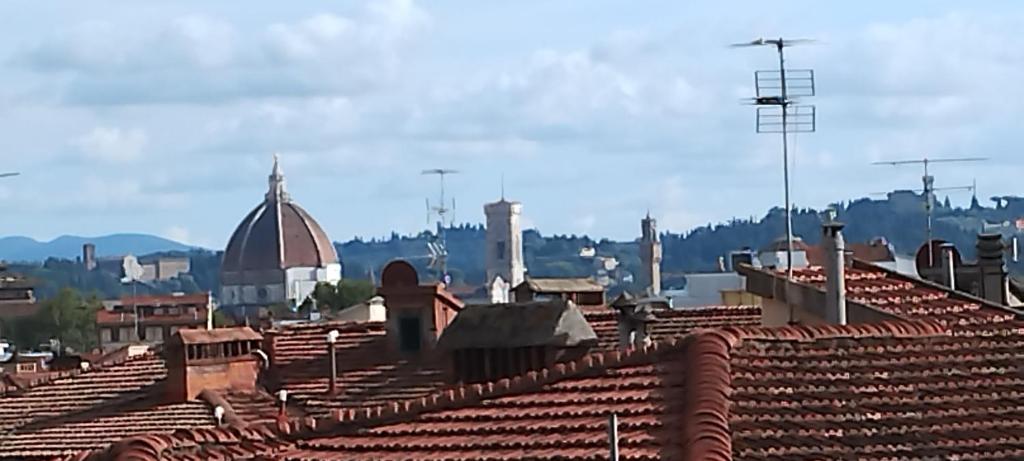 Sanesi's penthouse - 2
